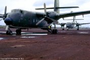 Caribou