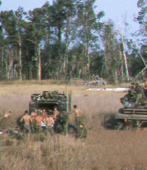 Clearing in Jungle